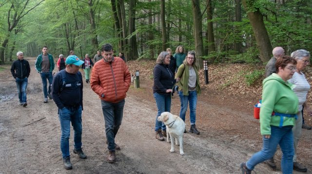 Dauwtrappen (donderdag  9 mei 2024)